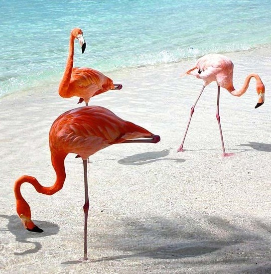 //yucatantravel.epconsulting.mx/wp-content/uploads/2019/11/arton31736-e1580310824350.jpg