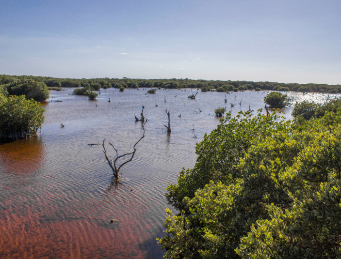 https://yucatantravel.epconsulting.mx/wp-content/uploads/2019/12/rivereños-el-tigre6-703x535.jpg