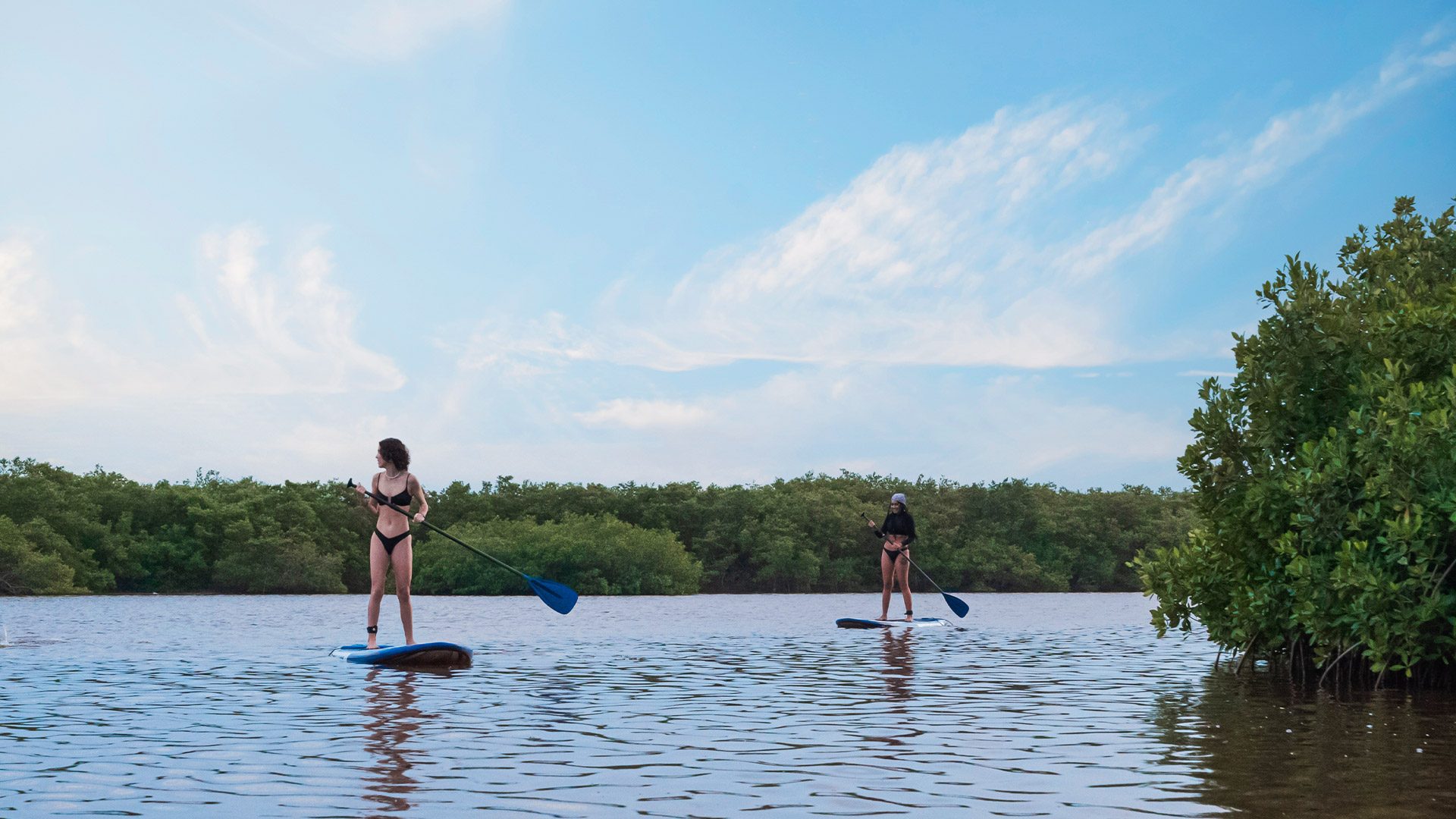 https://yucatantravel.epconsulting.mx/wp-content/uploads/2024/08/Yucatán-web-lgbt-1-1920x1080.jpg