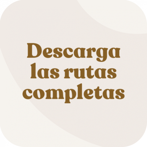 https://yucatantravel.epconsulting.mx/wp-content/uploads/2025/06/rutas-completas-500x500.png